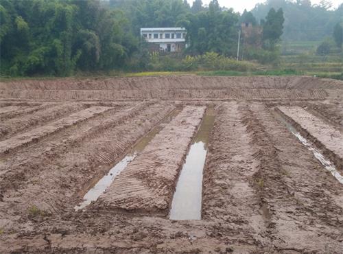 beats365唯一官网