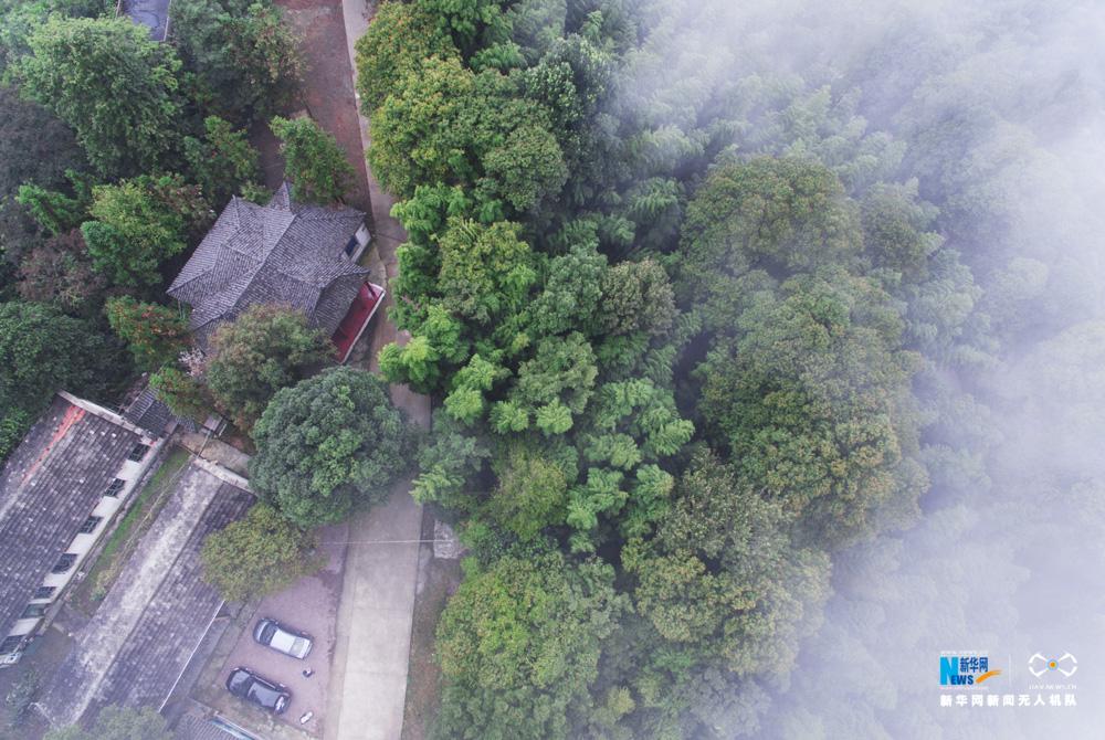 beats365唯一官网