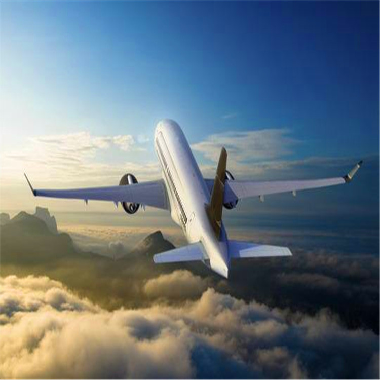 beat365平台入口|李晨nic现身上海时装周 直面“孤独”人生传递潮流惊喜(图3)