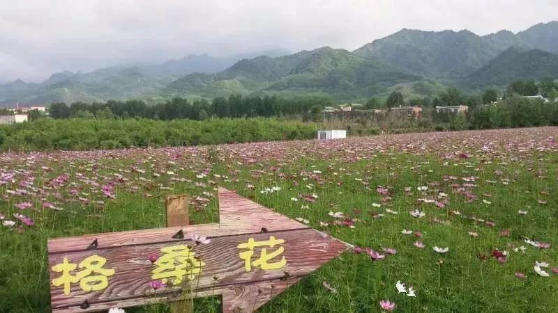 “beats365唯一官网”NINE PERCENT首专分享会广州站 “九妹”爱称被妥妥认证(图2)