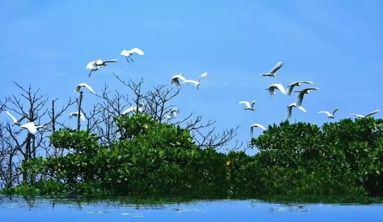 ‘beats365唯一官网’
化工巨头接连亏损!订单下滑 钱欠好收 行情低迷 卖料难于上青天(图4) ‘beats365唯一官网’
化工巨头接连亏损!订单下滑 钱欠好收 行情低迷 卖料难于上青天(图4)