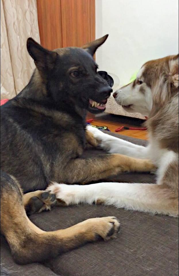 (10月30日)现代煤化工示范工程效益初显-beat365平台入口(图1)