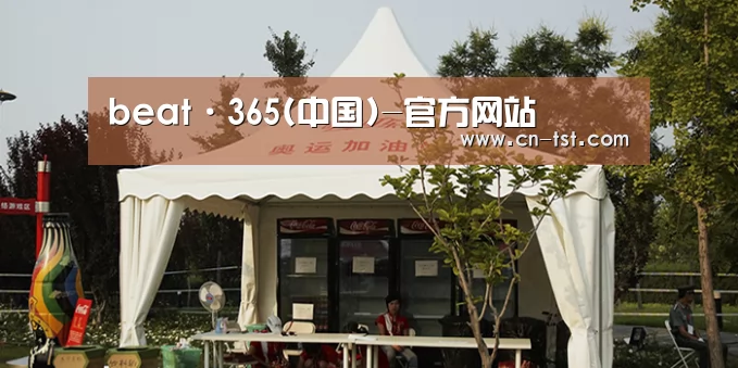 案例标题五