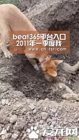 beats365唯一官网