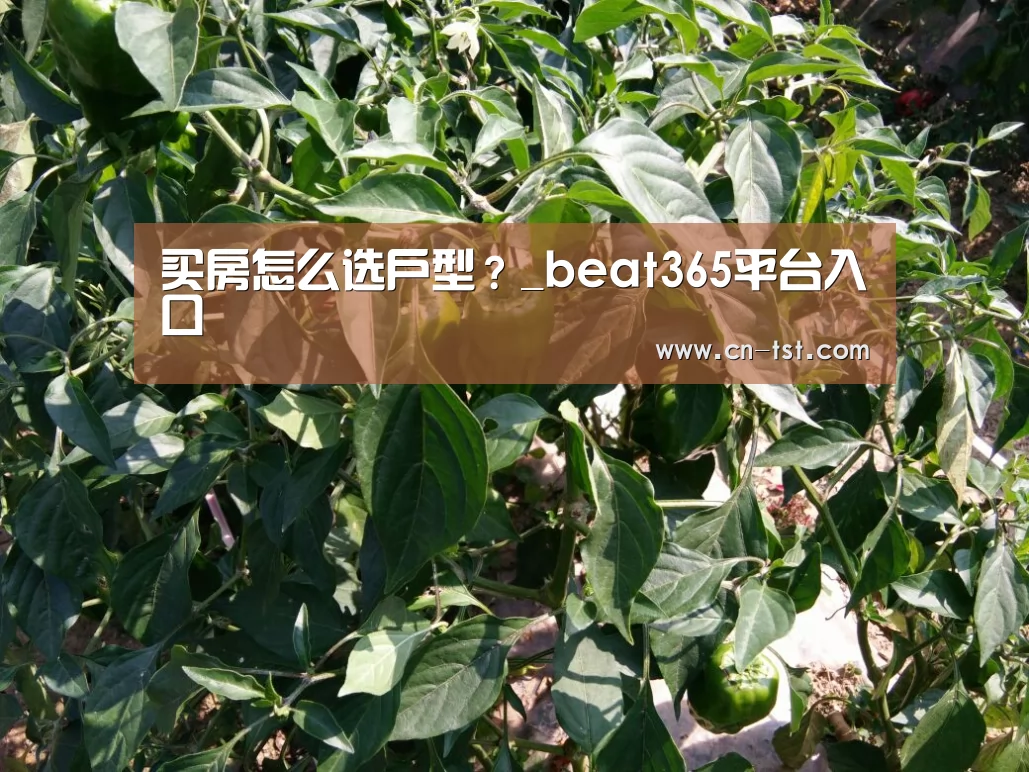 买房怎么选户型？_beat365平台入口