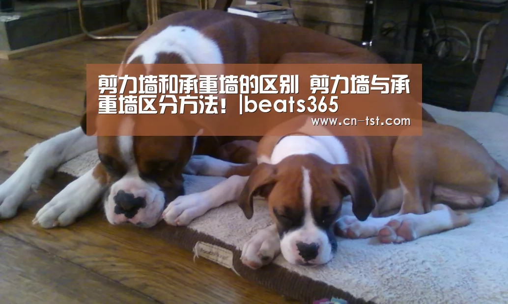 剪力墙和承重墙的区别 剪力墙与承重墙区分方法!|beats365(图2) beat365平台入口